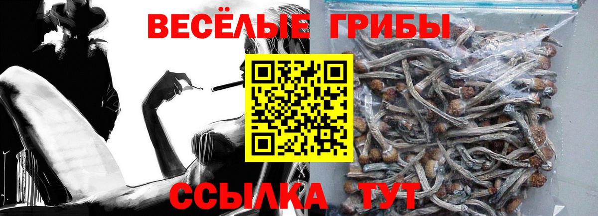 Псилоцибиновые грибы мицелий  Вход с VPN  продажа наркотиков  Кемерово  Псилоцибиновые грибы MAGIC MUSHROOMS 